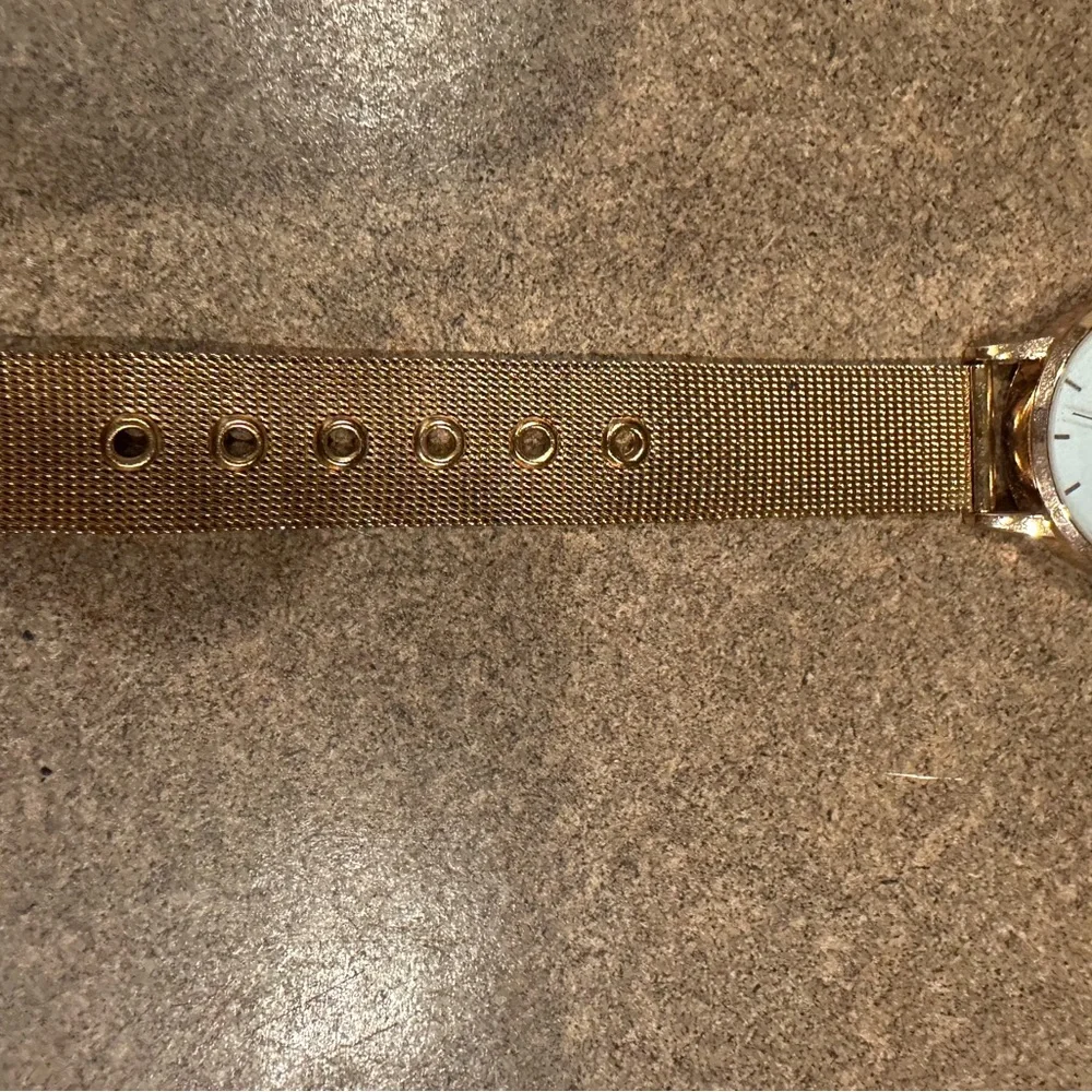 Rose Gold Mesh Watch Eddie borgo